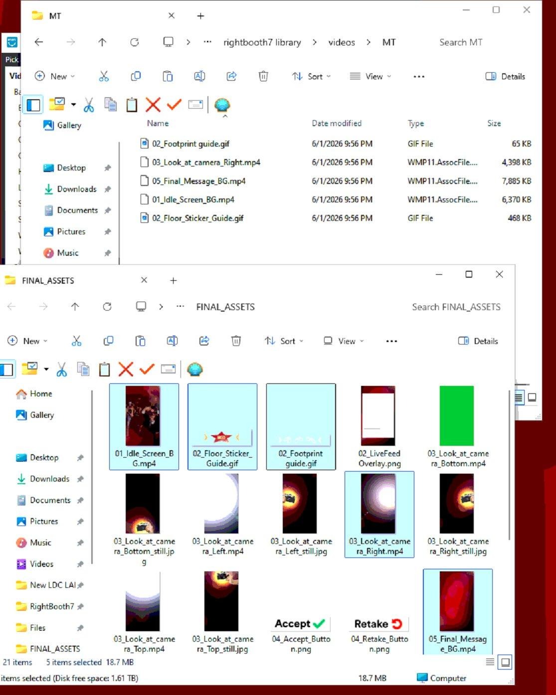 Expected contents of the MT videos folder